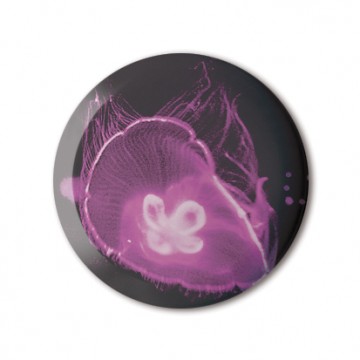 Gift Box: 4 button badges (Jelly Fish)