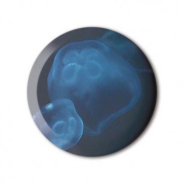 Gift Box: 4 button badges (Jelly Fish)