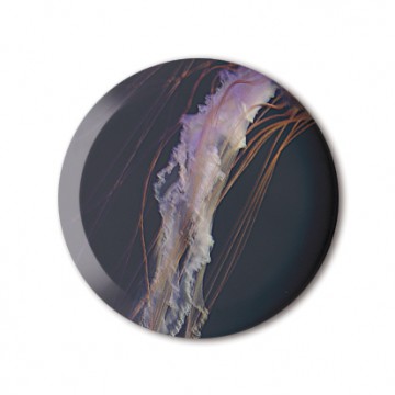 Gift Box: 4 button badges (Jelly Fish)