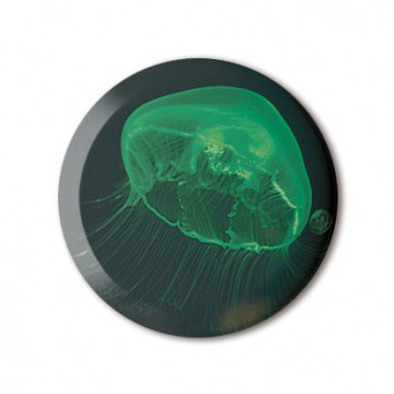 Gift Box: 4 button badges (Jelly Fish)