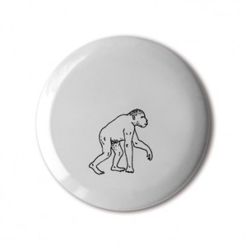 Gift Box: 4 button badges (Evolution)