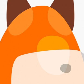Fox Shapes print