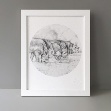 Rhino Creatures print