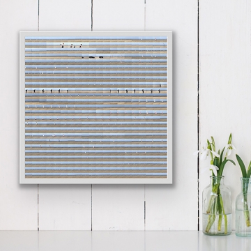 8min 20sec—Char de Voile 2—50cm (HD)