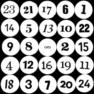 Advent Calendar: Cats