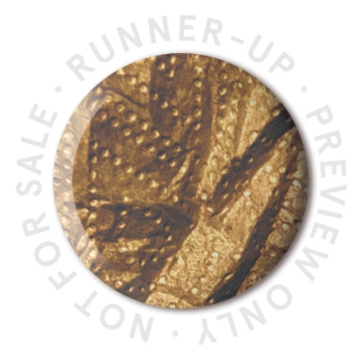 Maxim Levkov: Runner-up