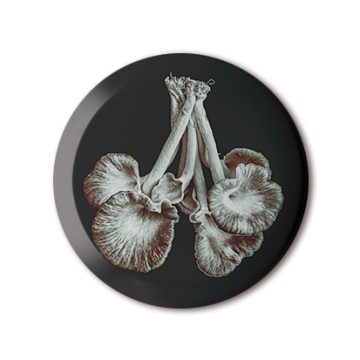 Beneath The Eyrie: Mushrooms