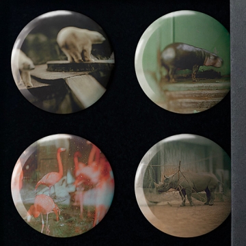 Gift Box: 4 button badges (To Cage)