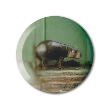 Gift Box: 4 button badges (To Cage)