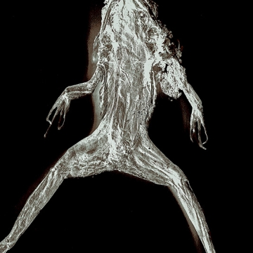 Beneath The Eyrie: Frog print