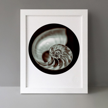 Beneath The Eyrie: Shell print