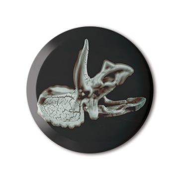 Beneath The Eyrie: Dino Skull print