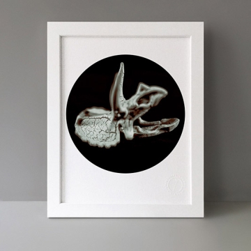 Beneath The Eyrie: Dino Skull print