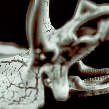 Beneath The Eyrie: Dino Skull print