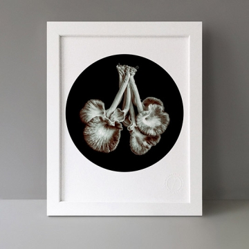 Beneath The Eyrie: Mushrooms print