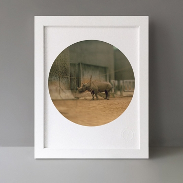 To Cage: Rhino print