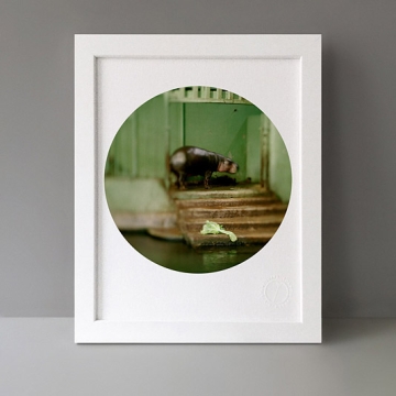 To Cage: Hippo print