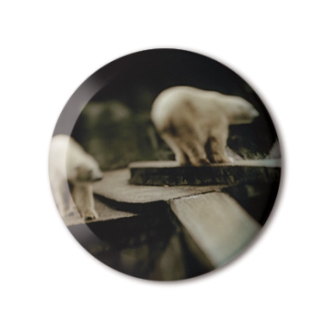 To Cage: Polar Bears print