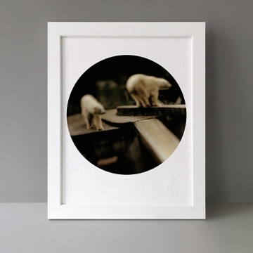 To Cage: Polar Bears print