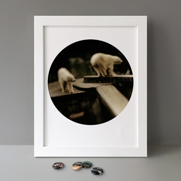 To Cage: Polar Bears print