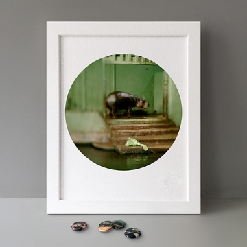 To Cage: Hippo print