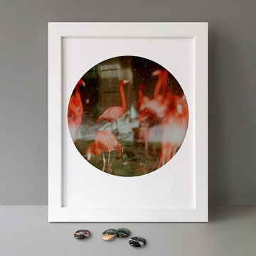 To Cage: Flamingos print
