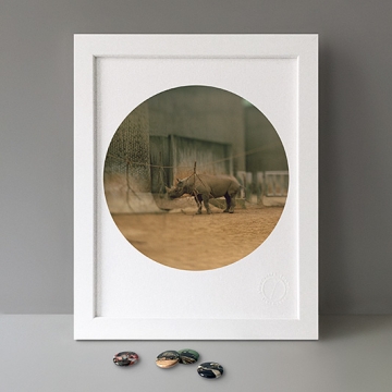 To Cage: Rhino print