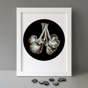Beneath The Eyrie: Mushrooms print