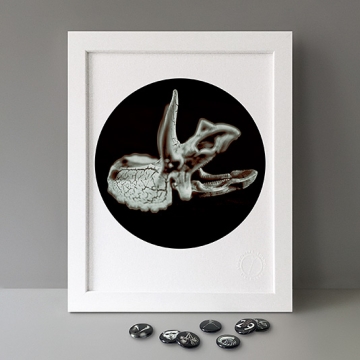 Beneath The Eyrie: Dino Skull print