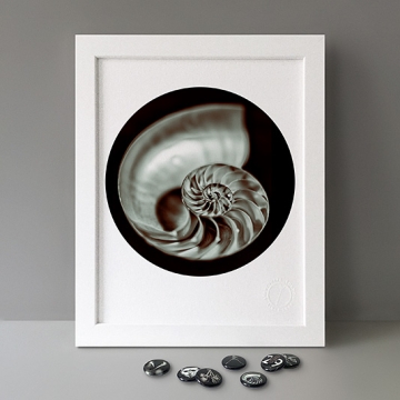 Beneath The Eyrie: Shell print