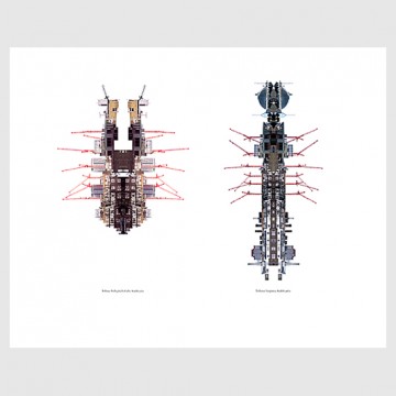 Cityscape Insects No.1