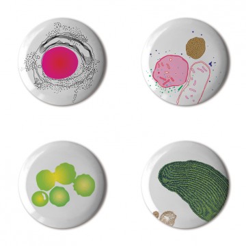 Gift Box: 4 button badges (Graphic Cells)