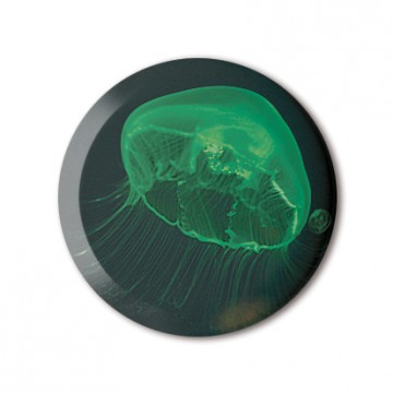 Green Jellyfish
