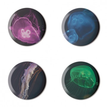 Gift Box: 4 button badges (Jelly Fish)