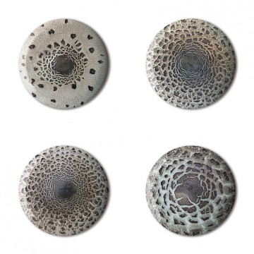 Gift Box: 4 button badges (Parasol Mushrooms)