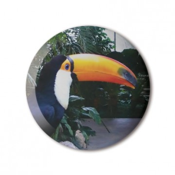 Tucan