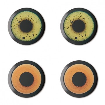 Gift Box: 4 button badges, 2 each (Bird Eyes)