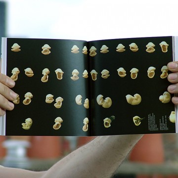 FL@33 monograph / Trans-form bundle