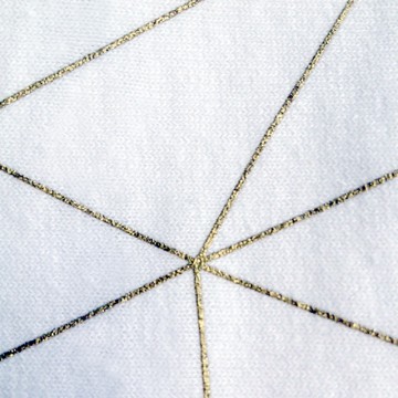 Password1 (unisex) T-shirt