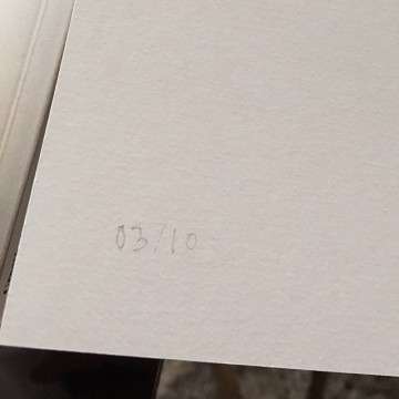 10x10 Series Poster: Balloons (Giclée)