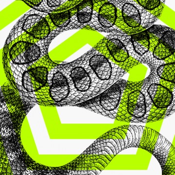 Snake print