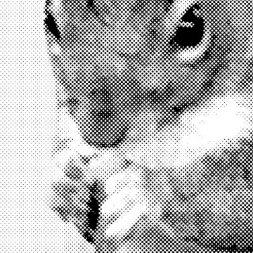 Squirrel 3 (halftone, left) print