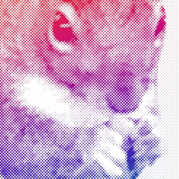Squirrel 3 (halftone, rainbow gradient, right) print
