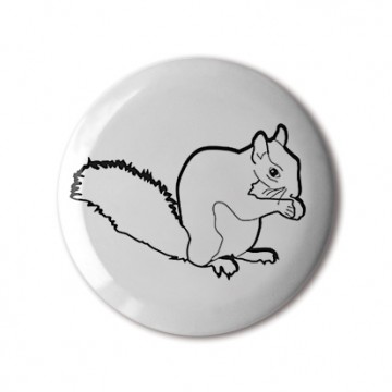 Squirrel 1 (white, right)