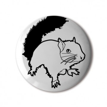 Squirrel 2 (white, right)