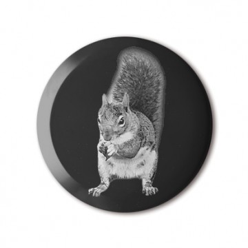 Squirrel 3 (black, left)