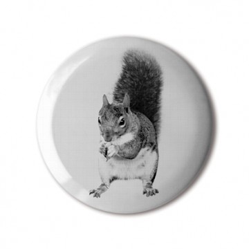 Squirrel 3 (white, left)