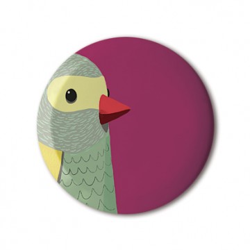 Bird Detail (Budgie)