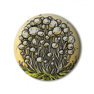 Alba Clamshell Mushrooms print