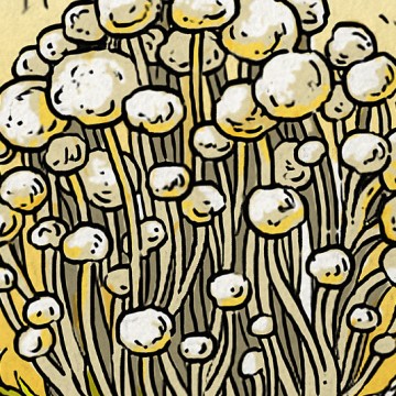 Alba Clamshell Mushrooms print